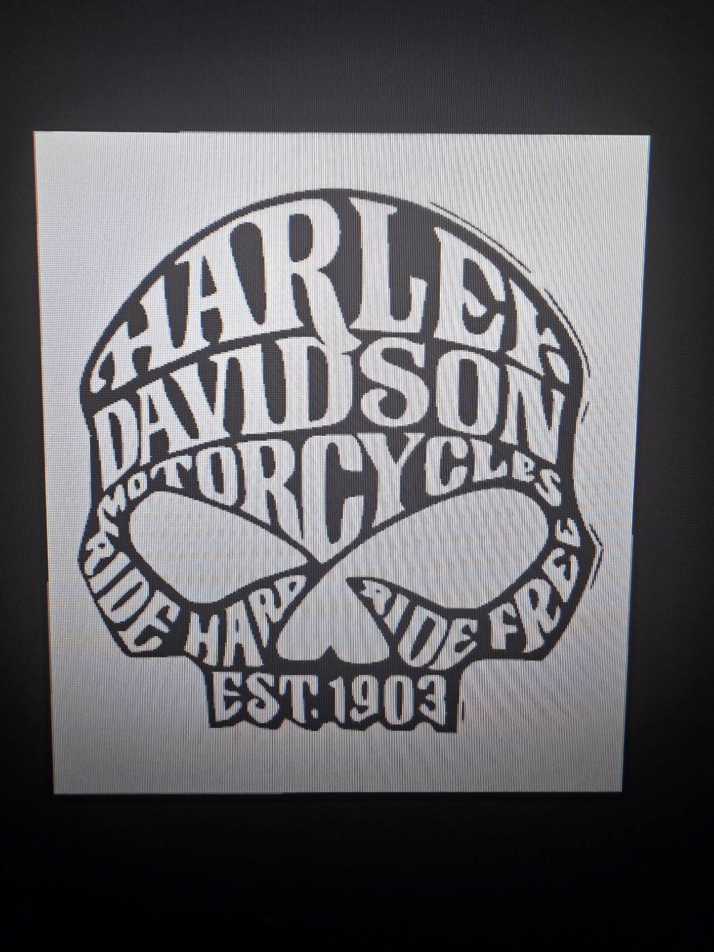 Harley Davidson Words skull LED light