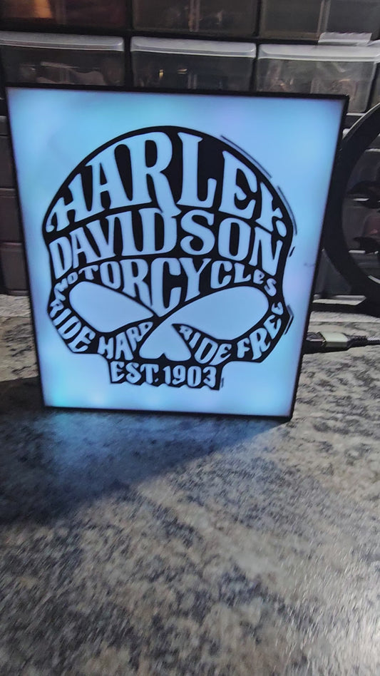 Harley Davidson Words skull LED light