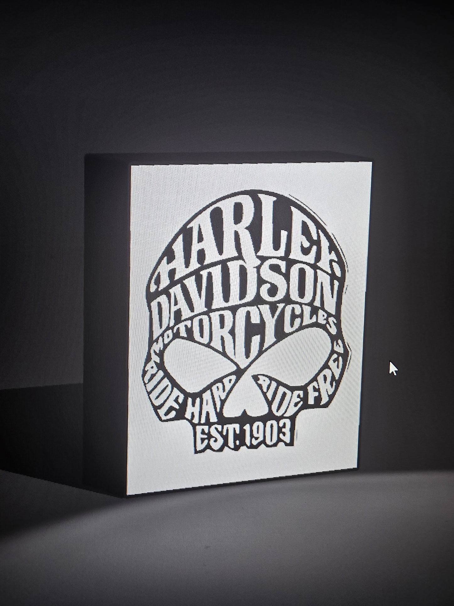 Harley Davidson Words skull LED light