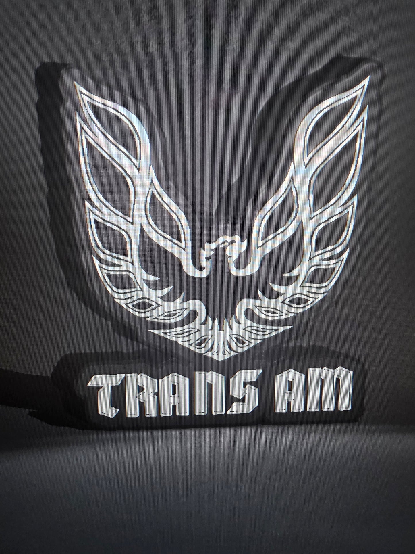 Trans Am Bird