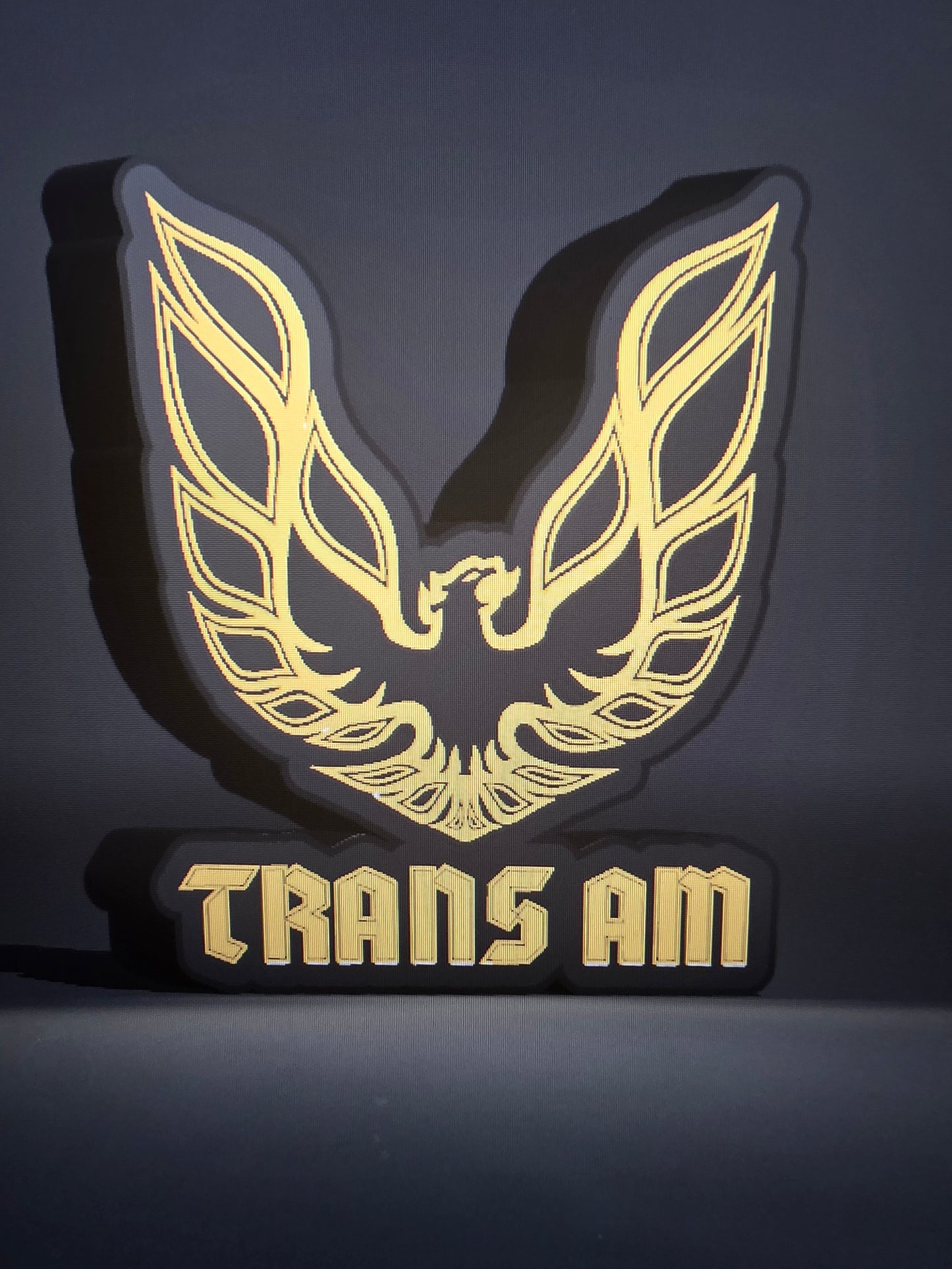 Trans Am Bird
